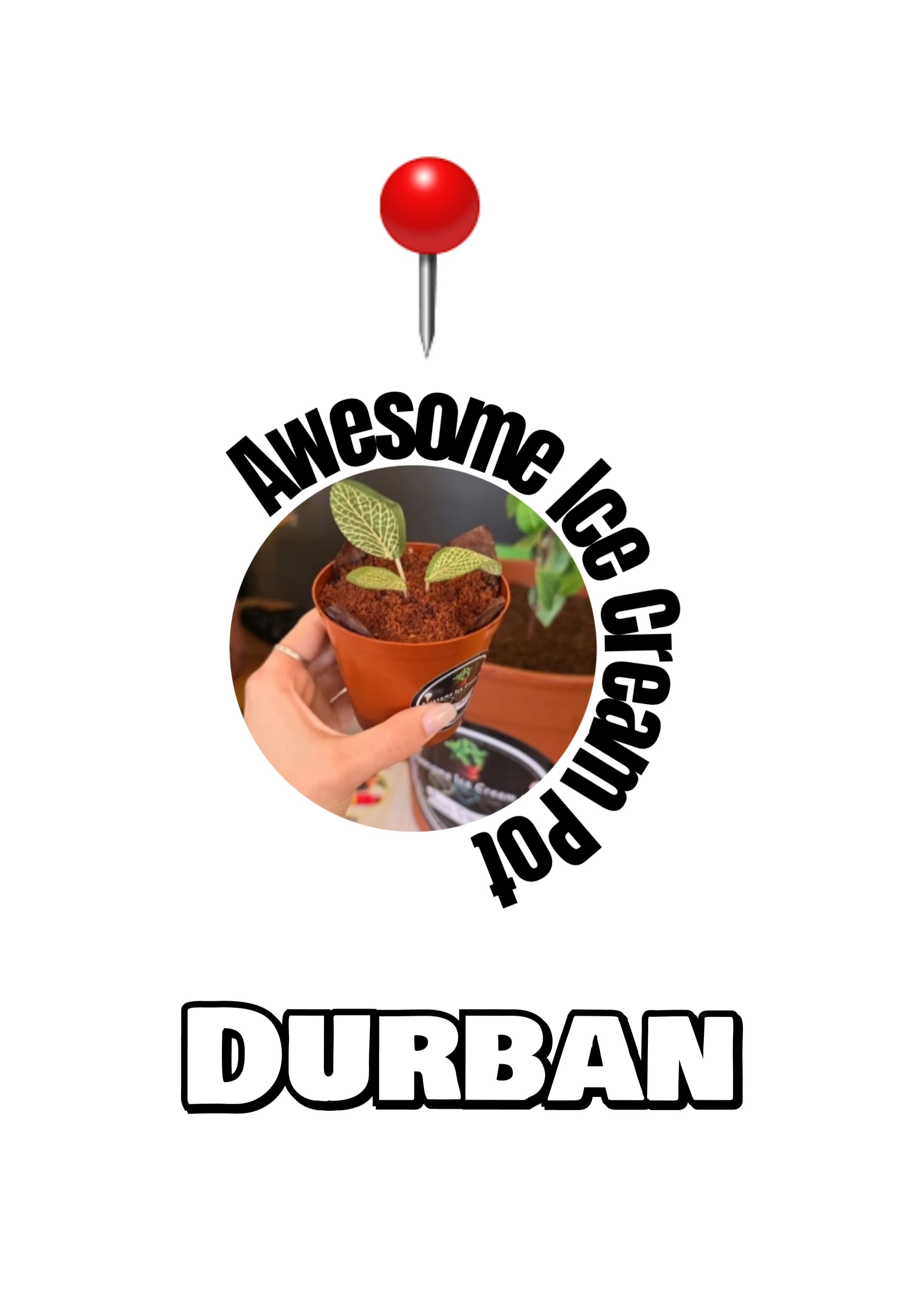 WhatsApp Image 2025-08-04 at 14.36.10